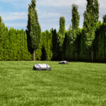 HONDA Miimo HRM 2500 Live + PAIGALDUS + AKUTRIMMER**